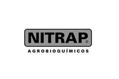Logotipo